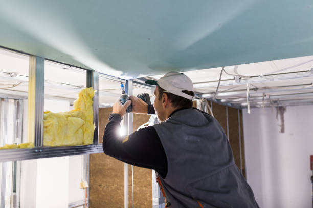 Best Geographic-Specific Insulation Services in Keuka Park, NY